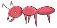 ant_01